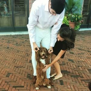 Meet your Posher, John